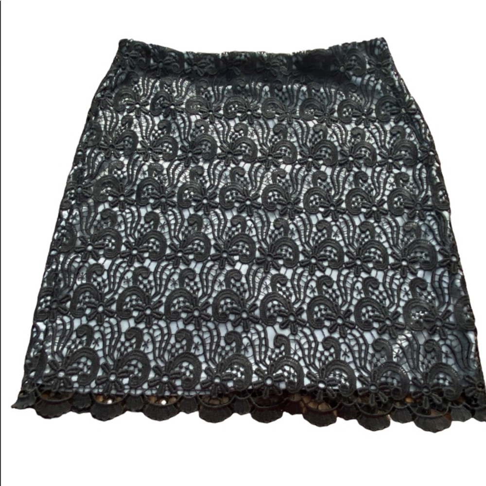 Ann Taylor Crochet Lace Skirt size 10P